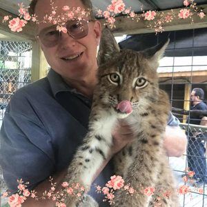 Meet your Posher, Mark l